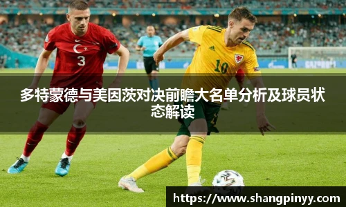 多特蒙德与美因茨对决前瞻大名单分析及球员状态解读